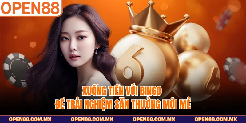 Xuống tiền với Bingo để trải nghiệm săn thưởng mới mẻ